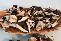 Tác dụng của mộc nhĩ và ai không nên ăn