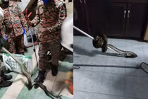 Mải chơi điện thoại trong toilet, người đàn ông gặp sự cố 'chết khiếp'