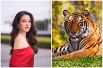 Chờ đến 13h hôm nay 11/10 để điểm danh 4 'cỗ máy in tiền'