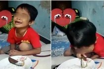 Giây trước khen cá ngon, giây sau cậu bé gục mặt khóc thảm thiết