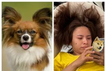 Nữ diễn viên Vbiz đứng vẫn không cao bằng Kỳ Duyên ngồi