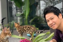 Mèo độc lạ và món lì xì không giống ai của ca sĩ Trọng Tấn