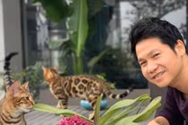 Mèo độc lạ và món lì xì không giống ai của ca sĩ Trọng Tấn