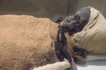 Xác ướp tiết lộ cái chết đau đớn của vị Pharaoh trên chiến trường