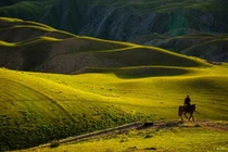 Đồng cỏ được ví như tấm lưng trần của thiếu nữ ở Trung Quốc