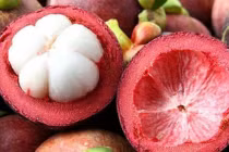 Mua măng cụt cứ nhắm quả to là sai lầm