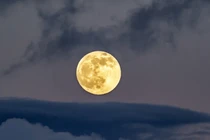 Trái đất có "Mặt trăng thứ hai" trong ít nhất 300 năm tới?