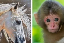 Tuần mới 28/2-6/3: 3 con giáp chân trái đụng quý nhân, chân phải chạm Thần Tài 