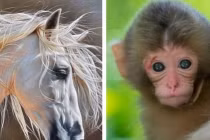 Tuần mới 28/2-6/3: 3 con giáp chân trái đụng quý nhân, chân phải chạm Thần Tài 