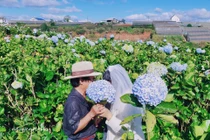 Các con tặng cha mẹ bộ ảnh cưới bất ngờ ở Đà Lạt