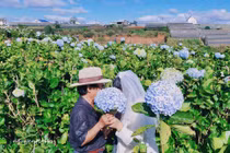 Các con tặng cha mẹ bộ ảnh cưới bất ngờ ở Đà Lạt