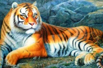 4 con giáp coi chừng kẻ thứ 3 chọc phá hạnh phúc gia đình