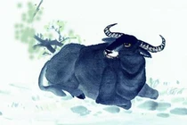 Tuần mới, 4 con giáp vận đỏ như son, thăng hoa mọi mặt