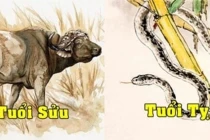 Tuần mới 7-13/3/2022: Con giáp nào bội thu, con giáp nào nghèo thảm? 