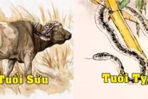 Tuần mới 7-13/3/2022: Con giáp nào bội thu, con giáp nào nghèo thảm? 