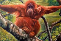 Tuần mới (18/4 - 24/4/2022): 3 con giáp trái đụng quý nhân, phải va Thần Tài