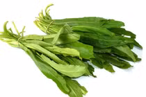 Loại rau quen thuộc trong vườn giúp hạ mỡ máu