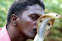 Tại sao con người không tiến hóa để có thể sở hữu nọc độc?