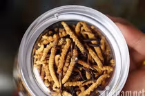 Hồi sức hậu F0, ăn tô cháo sâu cỏ giá 3-5 triệu đồng