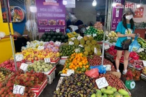 Đắt ngang nho Mỹ, loại mận trồng trên núi cao Việt Nam siêu hút khách