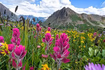 Con giáp tuổi Thìn sinh vào 3 tháng Âm lịch này