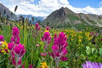 Con giáp tuổi Thìn sinh vào 3 tháng Âm lịch này