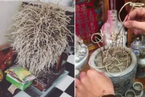 Đến hẹn lại lên, khi dọn bàn thờ nhớ làm 5 việc để tài lộc đến nhà