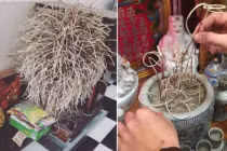 Đến hẹn lại lên, khi dọn bàn thờ nhớ làm 5 việc để tài lộc đến nhà