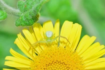 Người có giờ sinh này tháng 3 gặp chuyện tốt