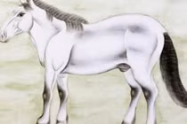 Những con giáp này là kẻ thù không đội trời chung