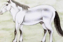 Những con giáp này là kẻ thù không đội trời chung