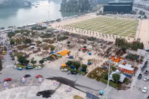 Tiểu thương ồ ạt đưa đào về Hạ Long bán Tết