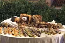 Bắt nữ nhân viên mặc bikini nằm cạnh món tráng miệng