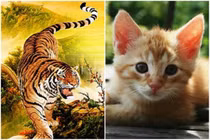 Tuần mới 5 - 11/12 Hoàng Bảy ban ngân xuyến, 4 tuổi đổi vận đại gia