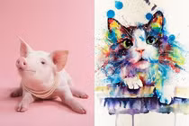 3 cặp cha con hợp tuổi chẳng bao giờ nghèo