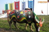 Ngắm “hoa hậu” trâu trước ngày khai hội Tịch Điền