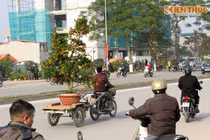 Người dân Thủ đô tấp nập “chở Tết” về nhà