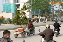 Người dân Thủ đô tấp nập “chở Tết” về nhà