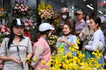 Hoa nhập từ Trung Quốc về bán dịp 20/10 tràn lan 