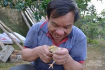 Người hiểu được tiếng của gà, của lợn