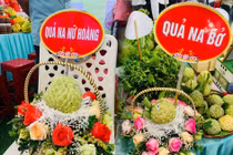 Khai mạc Hội chợ Na Chi Lăng năm 2022: 3 quả na giá 159 triệu