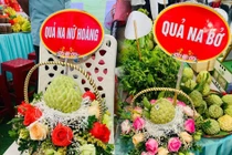 Khai mạc Hội chợ Na Chi Lăng năm 2022: 3 quả na giá 159 triệu