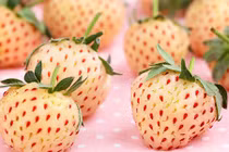 Video: 7 lợi ích “thần kỳ” cho sức khoẻ của dâu tây trắng