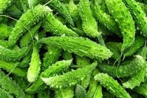 Video: 10 tác dụng chữa bệnh đặc biệt của cây khổ qua rừng