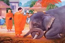 Video: 8 hành động làm tổn hao phúc báo dễ gặp xui xẻo