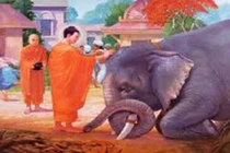 Video: 8 hành động làm tổn hao phúc báo dễ gặp xui xẻo