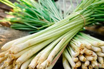 Video: 9 bài thuốc trị đau bụng do nhiễm lạnh cực hiệu quả