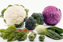 Video: Phụ nữ ăn những thực phẩm này làm giảm nguy cơ đột quỵ