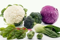 Video: Phụ nữ ăn những thực phẩm này làm giảm nguy cơ đột quỵ