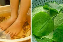 Video: Bí quyết ngâm chân xua tan bệnh tật bằng loại lá vườn nào cũng có 